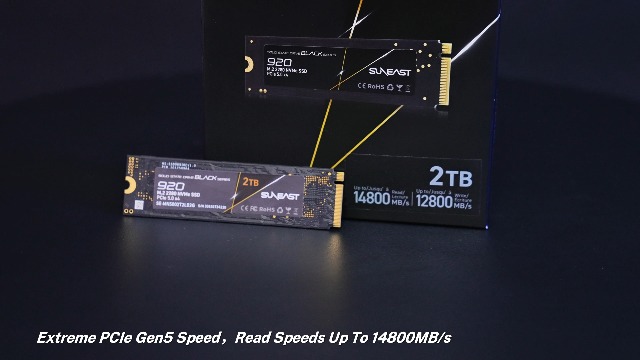 Amazon.com: SUNEAST Black Series 2TB SSD Gen5, PCIe 5.0x4 NVMe M.2