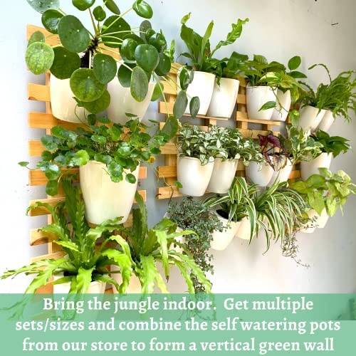 Shoplala Wooden Wall Planter - 2 Pack Wall Hanging Planters For Indoor Plants Ladder Wall Mounted Natural Wood Holder For Flower Pots Vertical Live Living Garden Unique Green Plant Decor 15.7" (40Cm) #TOP2