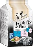 Sheba