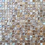 BKshells Shell Mosaic Tile Mother of Pearl Mosaic Tiles for Kitchen Backsplashes, Bathroom Walls,Home Decor(10PCS, Pearl Color)