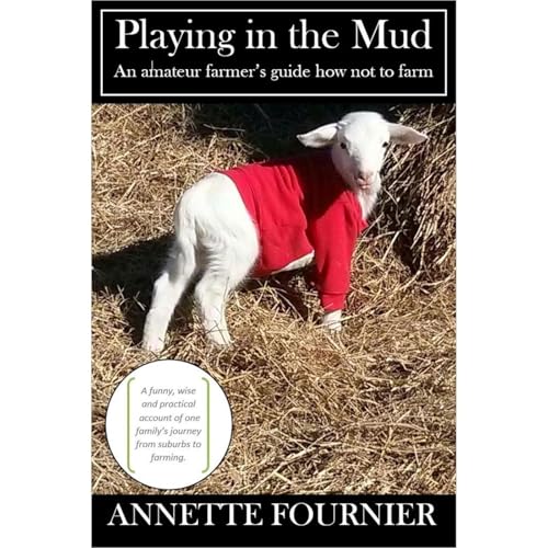 Playing in the Mud Audiolibro Por Annette Fournier arte de portada