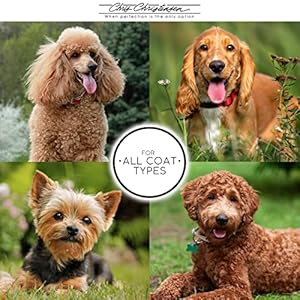 Chris-Christensen-Clean-Start-Clarifying-Dog-Shampoo-Pro-Vitamin-formula-That-Wont-Strip-The-Coat-Removes-Product-Build-up-Waxes-Oil-and-Dirt-16-Ounces - Cucciolini Doodles   Chris-Christensen-Clean-Start-Clarifying-Dog-Shampoo-Pro-Vitamin-formula-That-Wont-Strip-The-Coat-Removes-Product-Build-up-Waxes-Oil-and-Dirt-16-Ounces