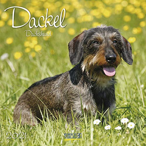 Stop basura: La verdad sobre reciclar