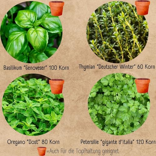 Bio Kräuter Anzuchtset – 4 Küchen Kräuter für dein eigenes Indoor oder Garten Kräuter Beet Projekt | mit extra vielen Kräuter Samen. Handmade & plastikfrei verpackt als einzigartiges Geschenk.