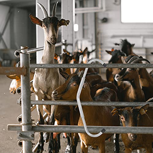 Kick- Stop Conveniente E Prático de Vacas Veterinários Anti- Kick Bar Ferramentas Vaca Anti- Kick (P