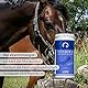 STRÖH Vitamin E + Selen + Lysin für Pferde (1kg) • Pferd Vitamin E Pellets • Mehr Leistung für Turnier-/Sportpferde • Vitaminkomplex für Pferde