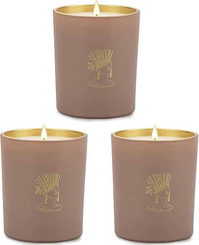 Velas aromáticas para el hogar, paquete de 3 velas perfumadas de algodón de 7.8 onzas, juego de velas de aromaterapia para alivio del estrés, juego