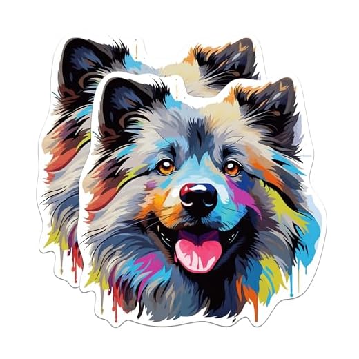 (2 Pack) Keeshond Dog Breed Magnets - 5 Inches On Longest Side - Choose from Over 100 Dog Breeds - for Cars, Refrigerators, Toolboxes - Made in USA - MAG1889
