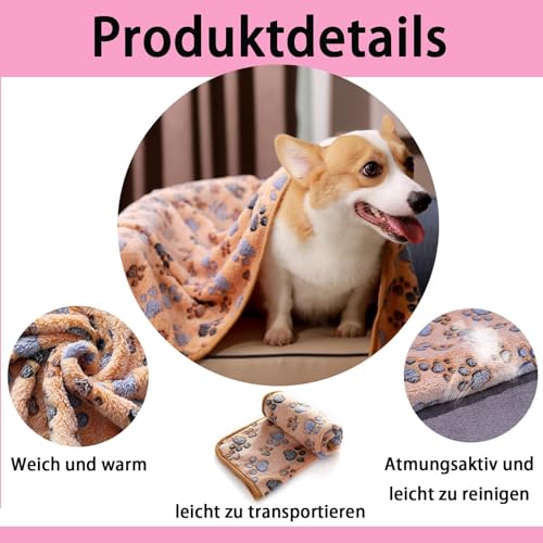 3 Stück Katzendecke, 40X60 cm Katzendecke Für Katzen, Kuscheldecke Hund Waschbar Und Flauschig Weiche Und Warme Decken Haustiere für Kleine Mittlere Hunde Katzen Haustierdecke Schlafmatte