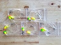 Algopix Similar Product 20 - Fluorocarbon Fishing Rigs 5 Fishing
