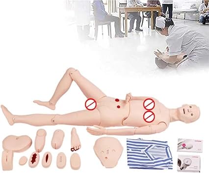 Anatomical Model Patient Care Manikin Nursing Skills Manikin with Arm Blood Pressure Measurement for Education Teaching Model