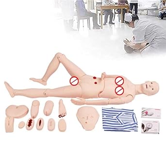 Anatomical Model Patient Care Manikin Nursing Skills Manikin with Arm Blood Pressure Measurement for Education Teaching Model