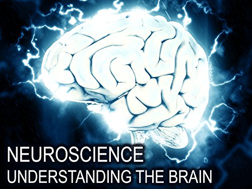 Neuroscience: Understanding the Brain
