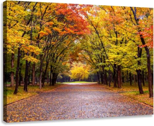 Canvas Wall Art for Living Room Bedroom Colorful foliage autumn