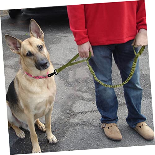 Promener deux chiens sereinement avec la laisse réglable YARNOW en nylon souple