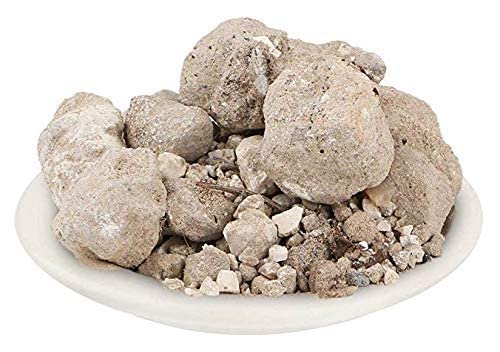 DKM BANSLOCHAN ASLI - Tabasheer - BAMBUSA VULGARIS - Bamboo Camphor (250 GMS)