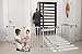 Dreambaby Royale Converta 3-in-1 Play Yard & 151
