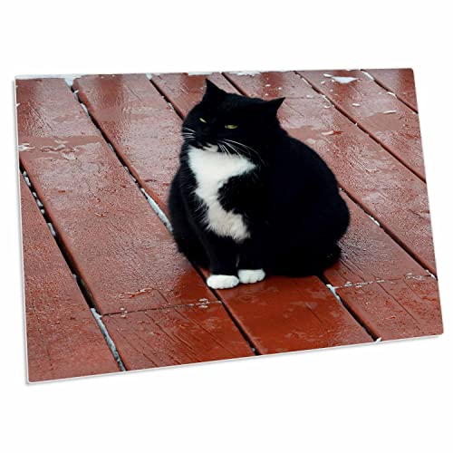 3dRose Little Fat Black and White Kitty Pad de Escritorio