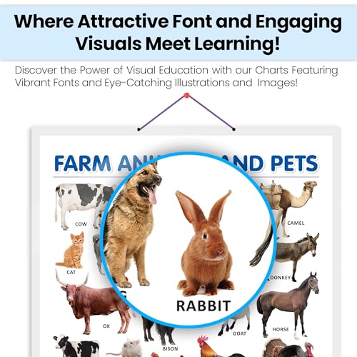 Image of FARM ANIMALS AND PETS CHART HARD LAMINATED | Animal Adventure Awaits: High-Quality Laminated Educational Guide