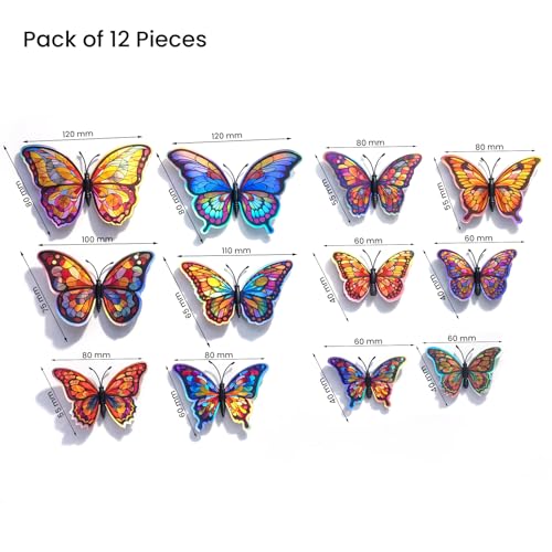 Image of Rangoli 3D Multicolor Butterfly Wall Stickers with Magnet | Removable Self Adhesive Wall Decor for Living Room, Bedroom, Kids Room | Wall & Iron Surface Decoration. Design-24