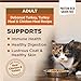 Wellness CORE Adult Dry Cat Food for Indoor & Outdoor Cats, Grain-Free, Natural, Original Turkey, Turkey Meal & Chicken (5 Pound Bag)
