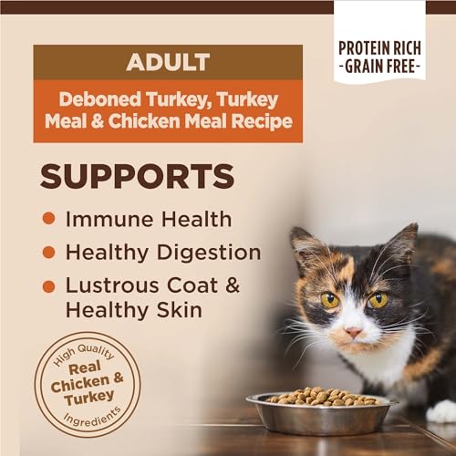 Image of Wellness CORE Adult Dry Cat Food, Natural, Grain Free Kibble, Turkey and Chicken Recipe, 5 lb Bag