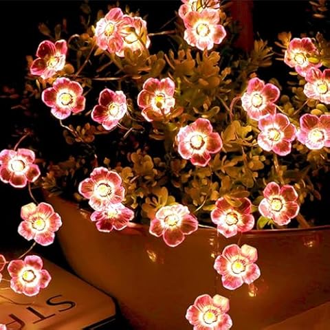 Guirlande lumineuse Wishstar 2 m Cover