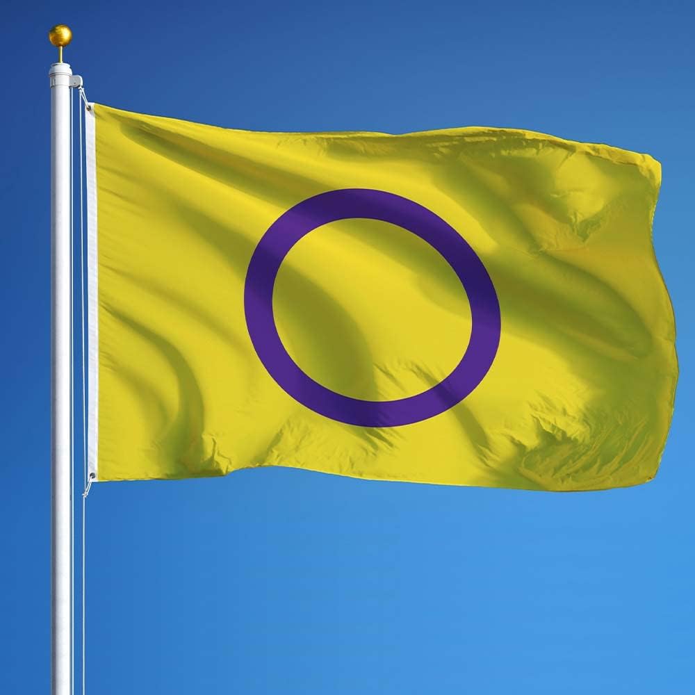 Vispronet 3ft x 5ft Intersex Pride Flag – Indoor/Outdoor Pride Flag with 20ft Flagpole, Weather-Resistant Knitted Polyester, Metal Grommets, Pride Accessories for Home or Lawn, Printed in the USA