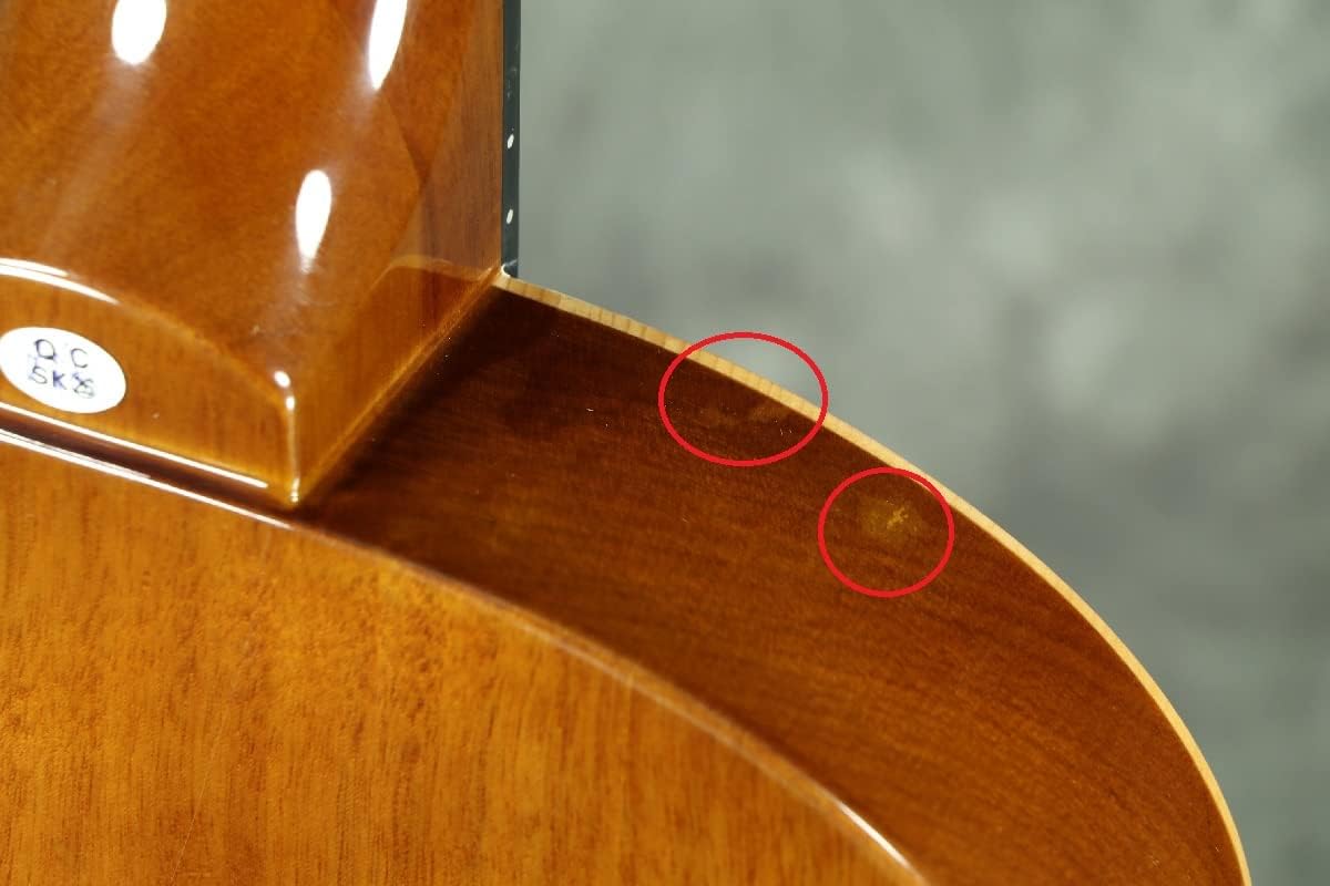 Washburn Festival EACT42S Nylon String Cutaway Classical Acoustic Electric Guitar (EACT42S-A)