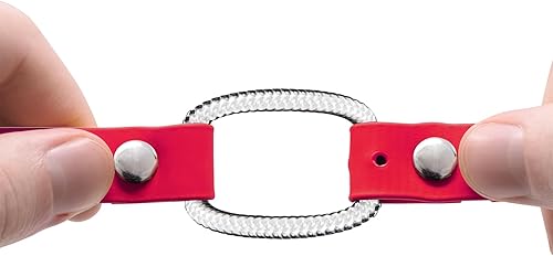Miniatura 9 de Educator Collar de perro extra pequeño con doble bungee para perro, bioano, impermeable, resistente al olor, hebilla de metal y anillo en D con dos
