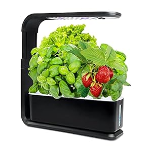DISNILA Smart Garden Hydroponic Growing System Indoor Herb Garden with Full Spectrum 60 LED Grow Light Germination…