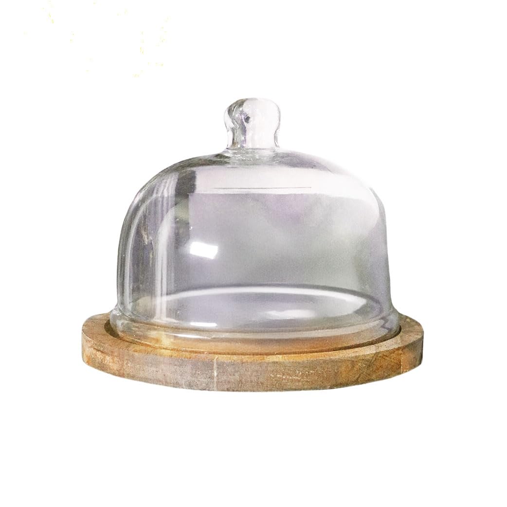 Charlies Glass Cake Dome with Wooden Base - 21cm