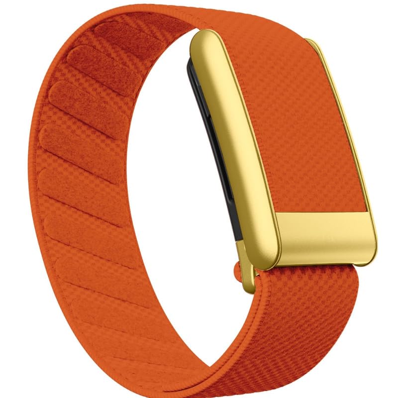 Orange-Gold Frame/5.0