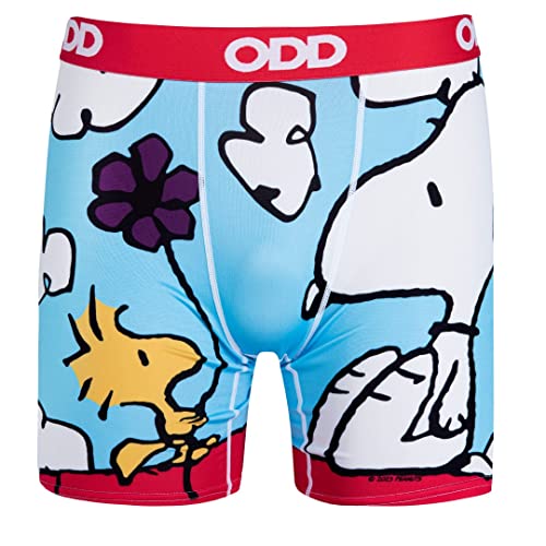 Odd Sox Charlie Brown Peanuts Comic Strip, Funny Boxer Briefs for Men, Cool, Comfortable