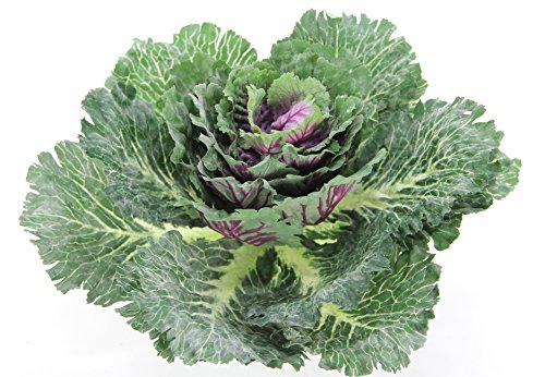 Admired By Nature GG8655-Natural Artificial Cabbage Home Kitchen Decoration , Green Admired By Nature GG8655-Natural Artificial Cabbage Home Kitchen Decoration , Green
