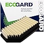 ECOGARD XA6200 Premium Engine Air Filter Fits Kia Soul 2.0L 2012-2020, Soul 1.6L 2012-2019, Rio 1.6L 2012-2017 | Hyundai Accent 1.6L 2012-2017, Veloster 1.6L 2012-2017