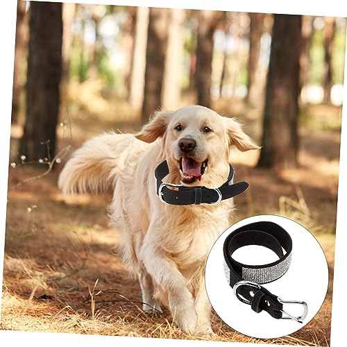Angoily Hundehalsband Mit Borte Hundefliege Für Hunde Und Katzen Strapazierfähiges Material Süßer Und Modischer Look Praktisches Accessoire Für Tiere