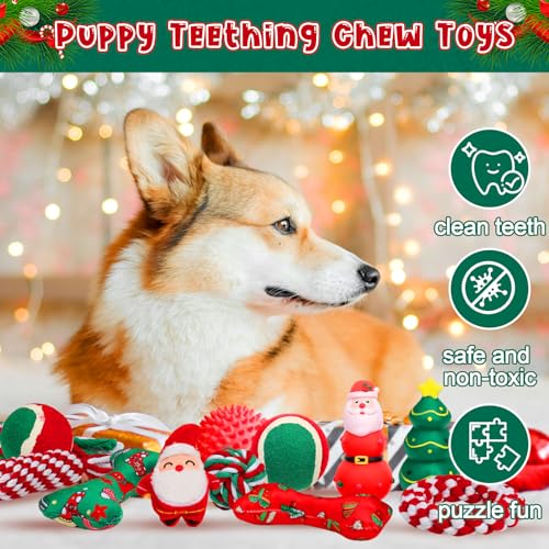 Calendario de Adviento para Perros Navidad 16 Piezas miniatura 3