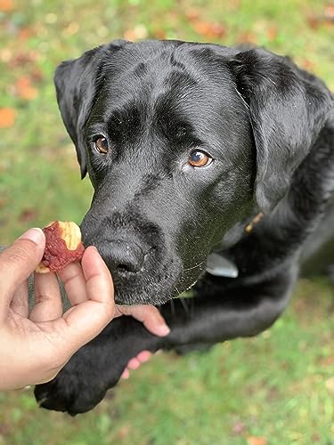 Croci Happy Farm – Kausnack für Hunde, natürlicher Hundesnack, mit Gemüse, Ente und Banane, 80 GR