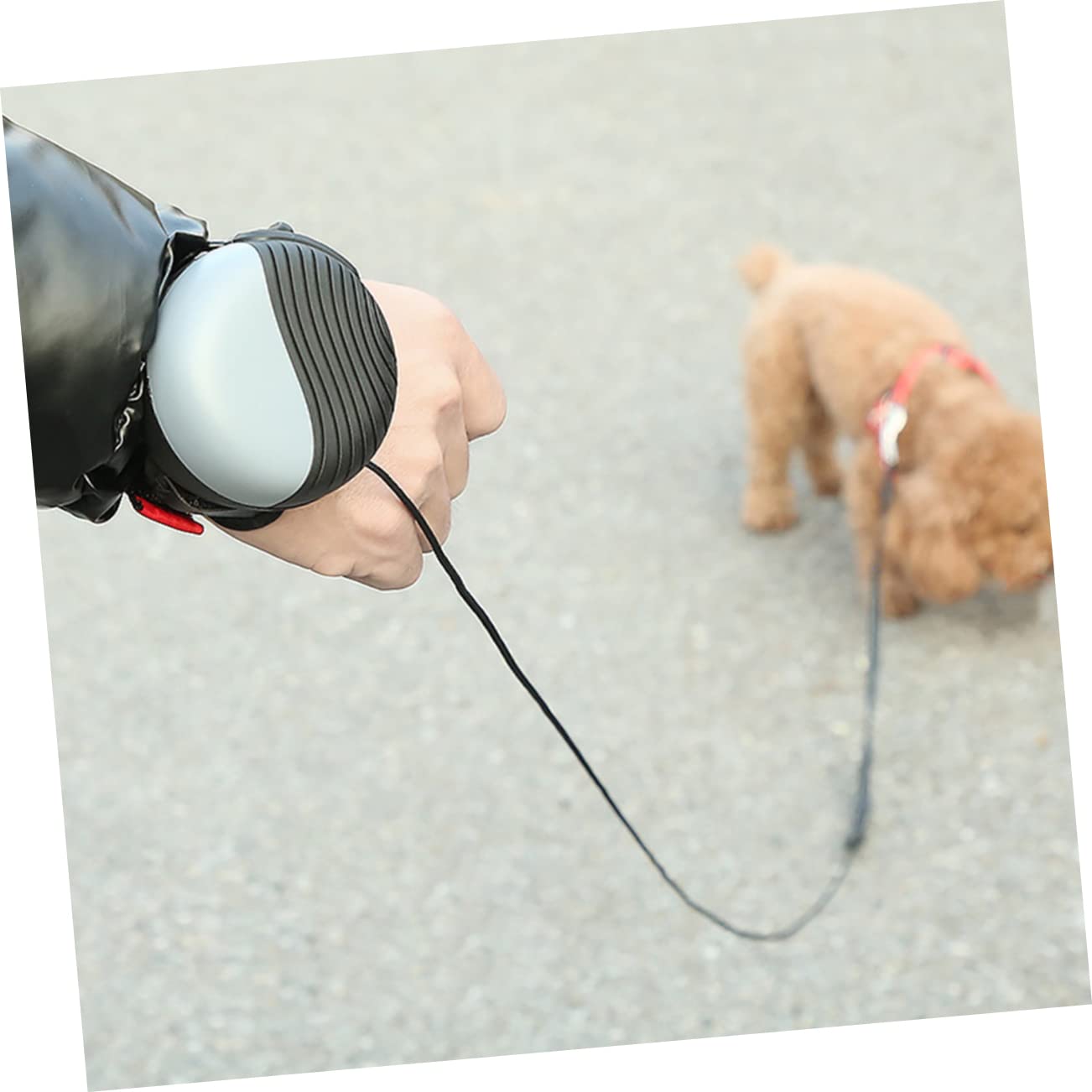 Sosoport 1pieza Correa Automática para Perros De Nylon Extensible Cuerda De Tracción De Strap De Entrenamiento para Mascotas para Paseos Jogging y Camping