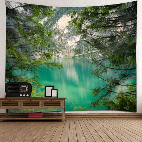 Tapisserie decoration murale paysage pour masquer un mur abime proprement