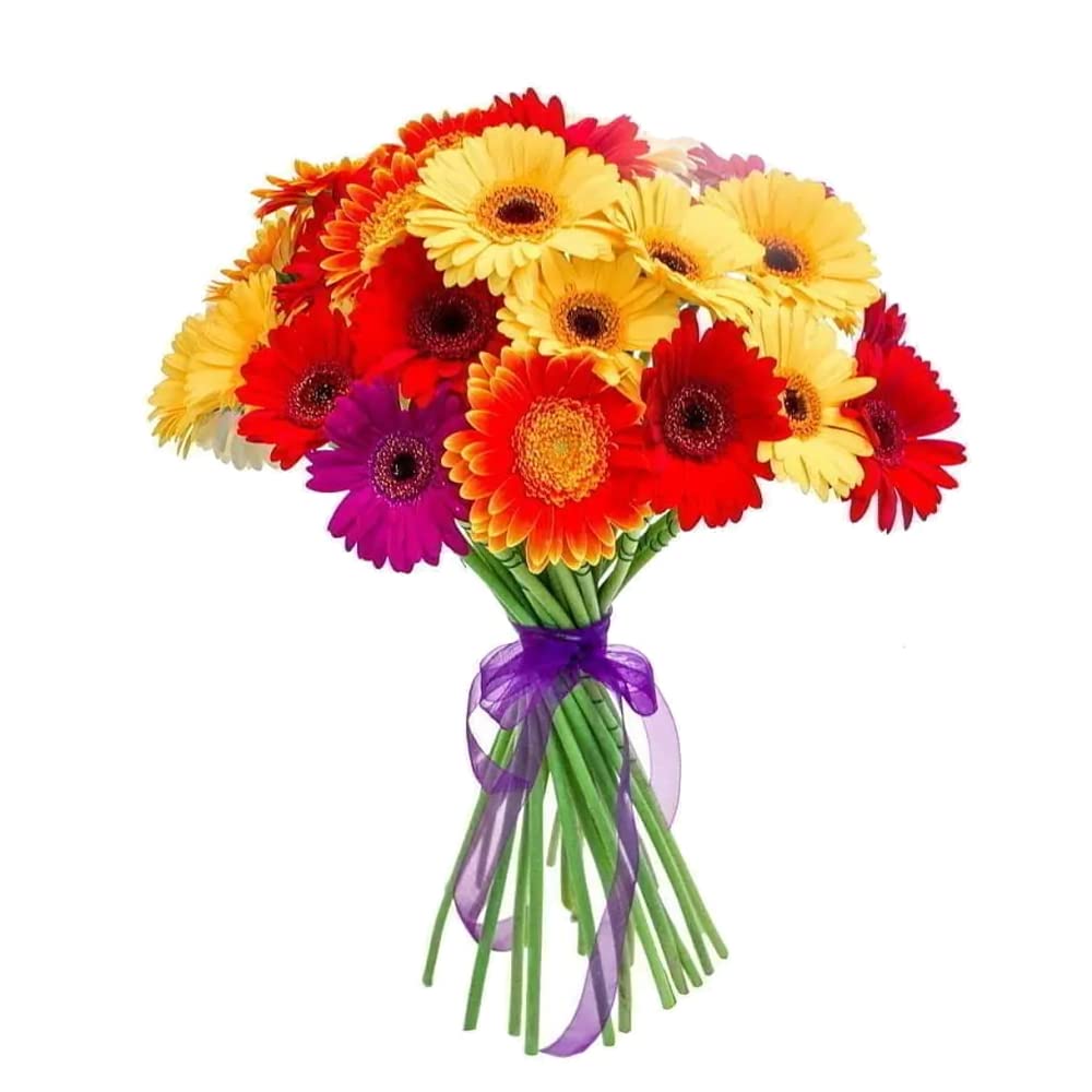 15 Mixed Gerber Bouquet-image-16