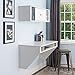 PREPAC Wall Mounted Designer Floating Desk in White