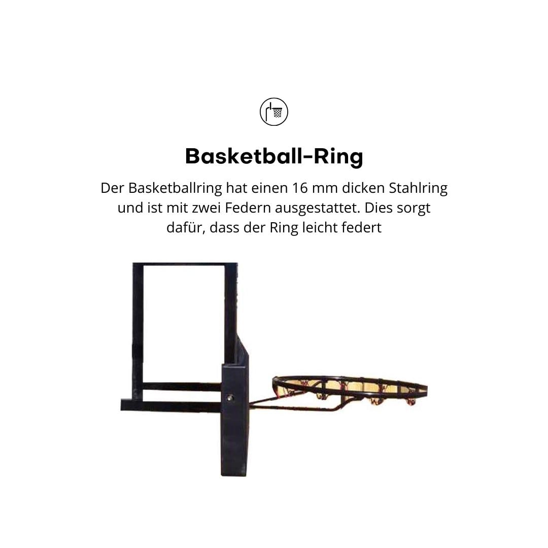 Pegasi Basketballbrett School 122x82cm