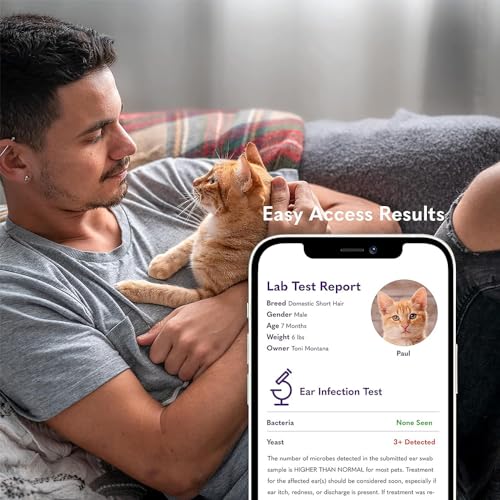 MySimplePetLab Cat Ear Infection Test Kit | Fast and Accurate Detection of Cat Ear Yeast and and other Ear Irritations | Reliable Mail-in Ear Care Cat Test Kit for Smelly, Itchy, or Sore Ears MySimplePetLab Cat Ear Infection Test Kit | Fast and Accurate Detection of Cat Ear Yeast and and other Ear Irritations | Reliable Mail-in Ear Care Cat Test Kit for Smelly, Itchy, or Sore Ears