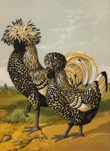Tableau Argent polonais de Harrison William Weir, une impression sur toile élégante 60x90cm