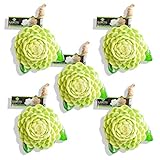 LABOTE Handgemachte thailändische Bio Naturseife Jasmin mit typischem Duft, 5 Stück