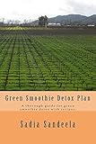 Green Smoothie Detox Plan: A thorough guide for green smoothie detox with recipes.