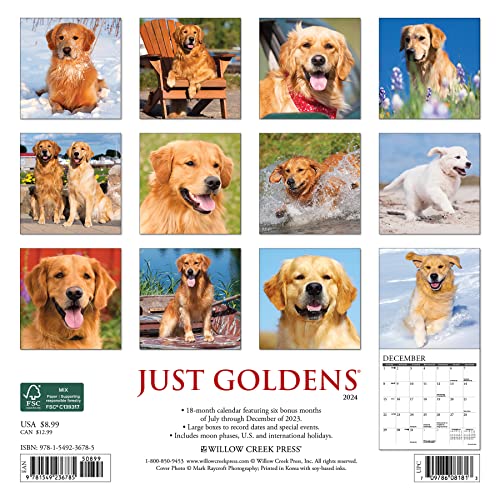 Just Goldens 2024 Calendar