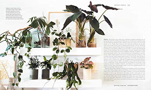 The Leaf Supply Guide to Creating Your Indoor Jungle - Thumbnail 3